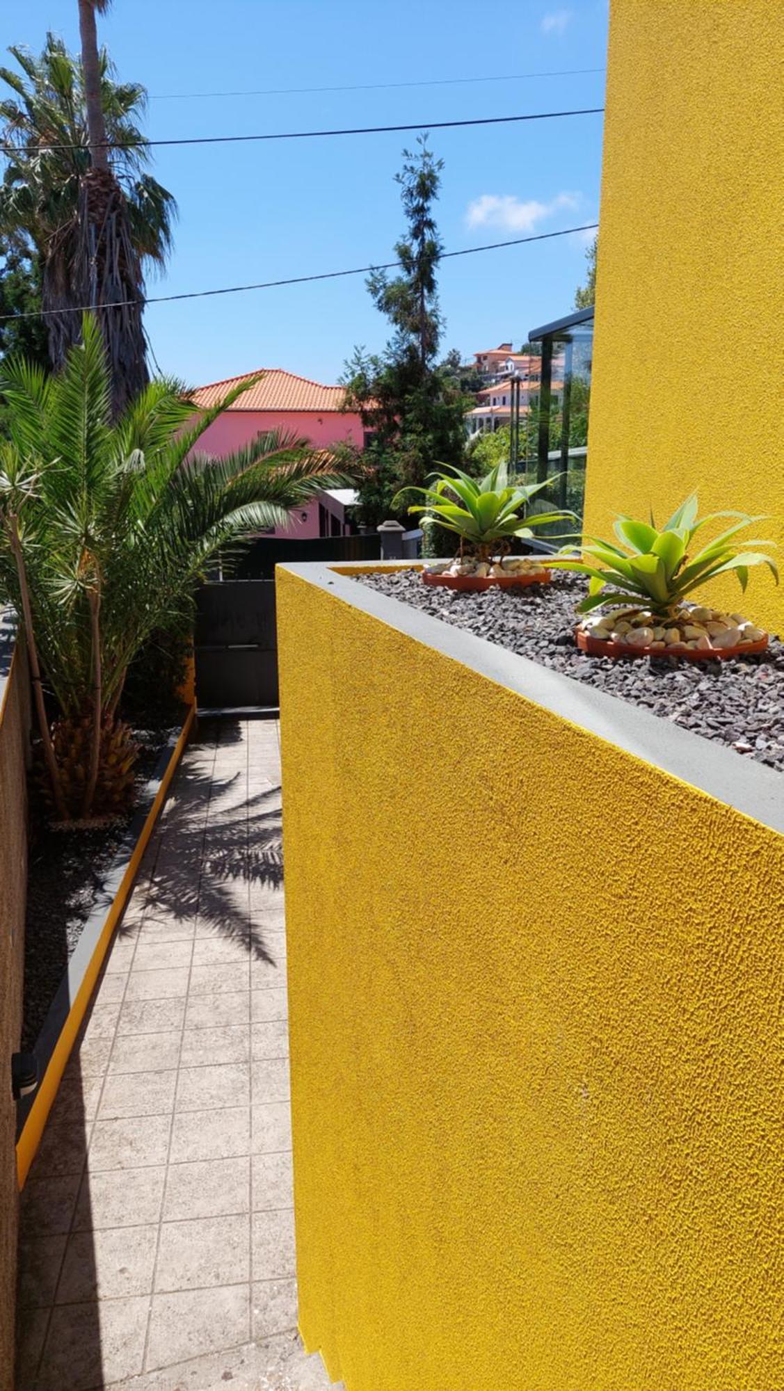 Villa Strelitzia Funchal  Exterior foto